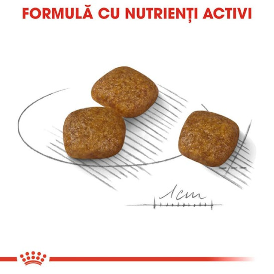 Royal Canin Mini Urinary Care – Hrană Uscată pentru Câini Adulți de Talie Mică cu Tendință la Probleme Urinare – 8 kg